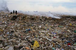 biodegradable plastic bags